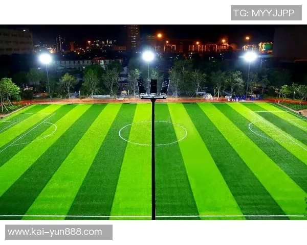 室内足球场建设的关键要素与设计理念探讨及其对青少年足球发展的影响